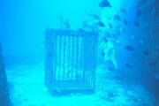 caraibas02.jpg