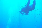 caraibas03.jpg