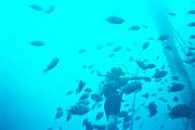 caraibas04.jpg